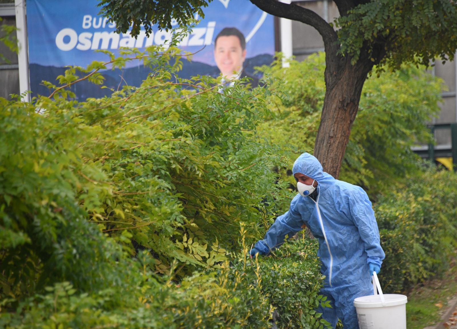 Osmangazi’de kemirgenlere yönelik mücadele.