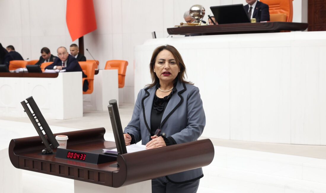 Müzeyyen Şevkin: “Vatandaş, KOBİ, Çiftçi Borçlu!” Müzeyyen Şevkin: “Vatandaş, KOBİ, Çiftçi Borçlu!” Cumhuriyet Halk Partisi (CHP)