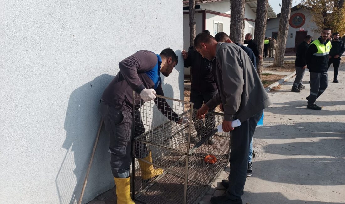 Odunpazarı Belediyesi’nden Sahipsiz Hayvanların Güvenli Toplanmasına Yönelik Eğitim Odunpazarı Belediyesi