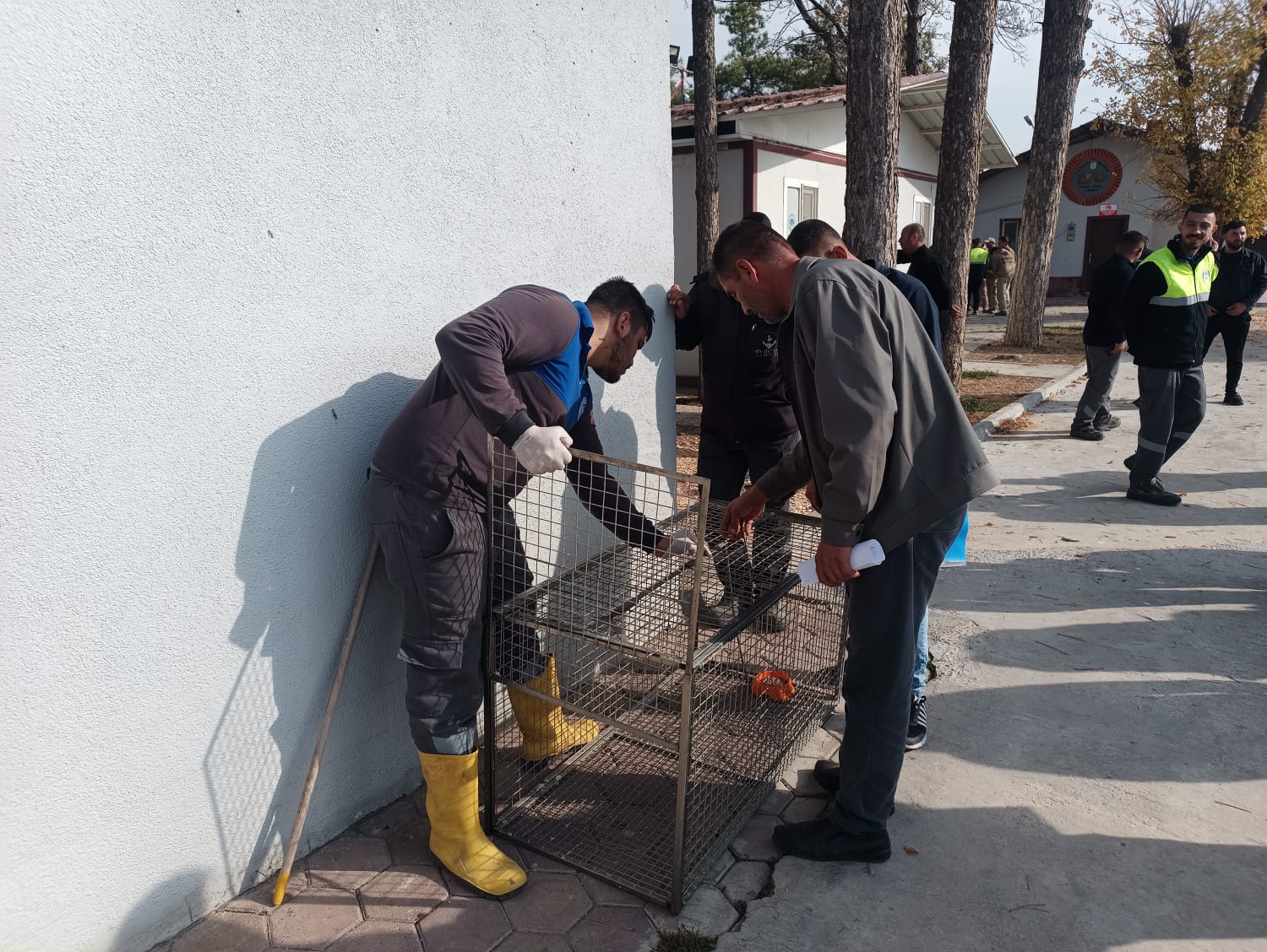 Odunpazarı Belediyesi’nden Sahipsiz Hayvanların Güvenli Toplanmasına Yönelik Eğitim Odunpazarı Belediyesi