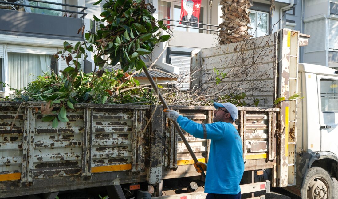 Gaziemir Belediyesi, budama çalışmaları sonucunda ortaya çıkan bahçe atıklarının cadde,