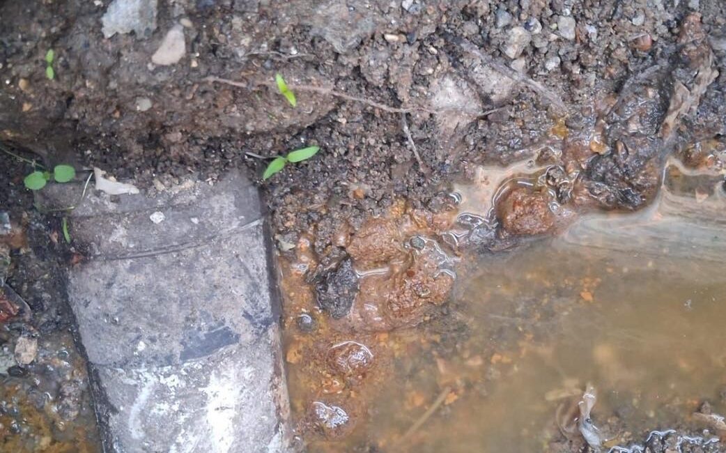 İzmit Belediye Başkanı Fatma Kaplan Hürriyet: “Yapmadığınız Altyapının Bedelini Üst Yapı Ödüyor” İzmit Belediye Başkanı Fatma Kaplan Hürriyet: “Yapmadığınız Altyapının Bedelini Üst