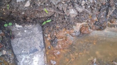 İzmit Belediye Başkanı Fatma Kaplan Hürriyet: “Yapmadığınız Altyapının Bedelini Üst