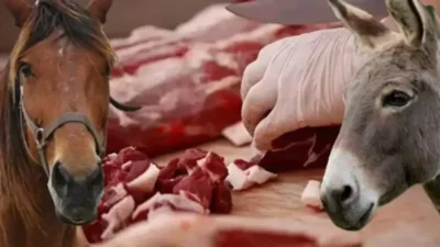 At Ve Eşek Eti Skandalı: Bakanlık Hileli Sucuk Markalarını İfşa