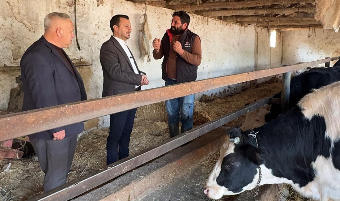 Bekir Başevirgen: “Şap Hastalığı Gelmesin Diye Durmadan Kireç Atıyoruz Bir De Kireç Maliyetimiz Çıktı” Bekir Başevirgen: “Şap Hastalığı Gelmesin Diye Durmadan Kireç Atıyoruz Bir