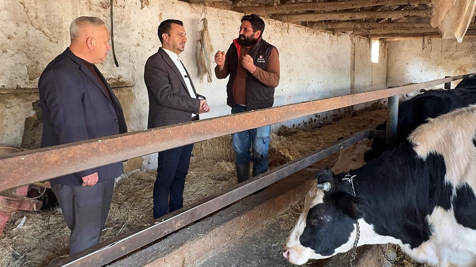 Bekir Başevirgen: “Şap Hastalığı Gelmesin Diye Durmadan Kireç Atıyoruz Bir