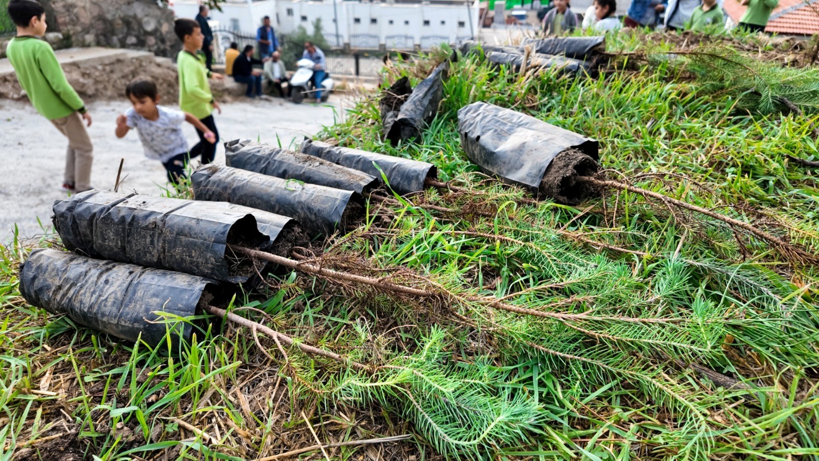 Bodrum Belediyesi, çocukları doğa ile buluşturmak amacıyla kentin farklı noktalarında