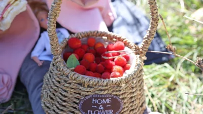 Ataşehirliler Dördüncü Kez Dağ Çileği Festivali’nde Buluşuyor Ataşehir Belediyesi tarafından