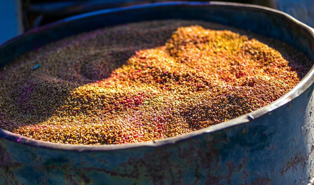 Didim’de Toprağın Bereketi Halkla Buluşuyor Didim Belediyesi, tarımsal üretimi desteklemek