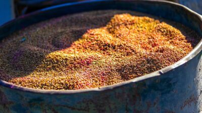 Didim’de Toprağın Bereketi Halkla Buluşuyor Didim Belediyesi, tarımsal üretimi desteklemek