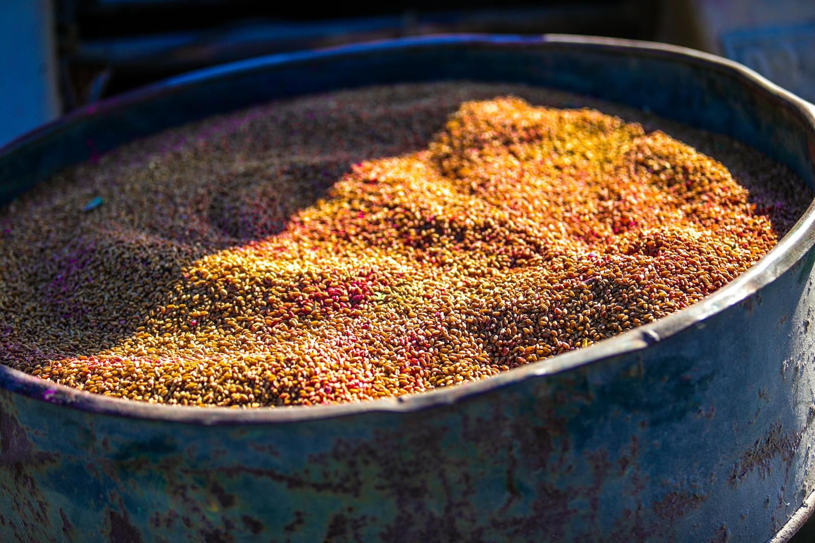 Didim’de Toprağın Bereketi Halkla Buluşuyor Didim Belediyesi, tarımsal üretimi desteklemek