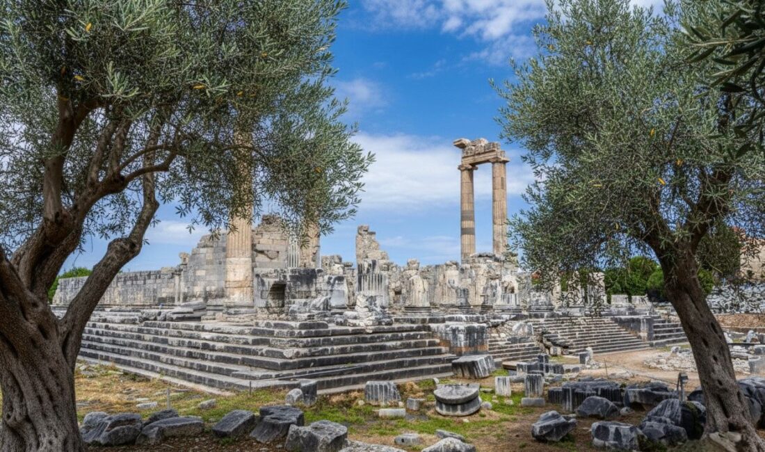 26 Kasım Dünya Zeytin Ağacı Günü’nde Didim Belediyesi’nden Anlamlı Mesaj “Barışın, Bereketin, Didim’in Simgesi” 26 Kasım Dünya Zeytin Ağacı Günü’nde Didim Belediyesi’nden Anlamlı Mesaj