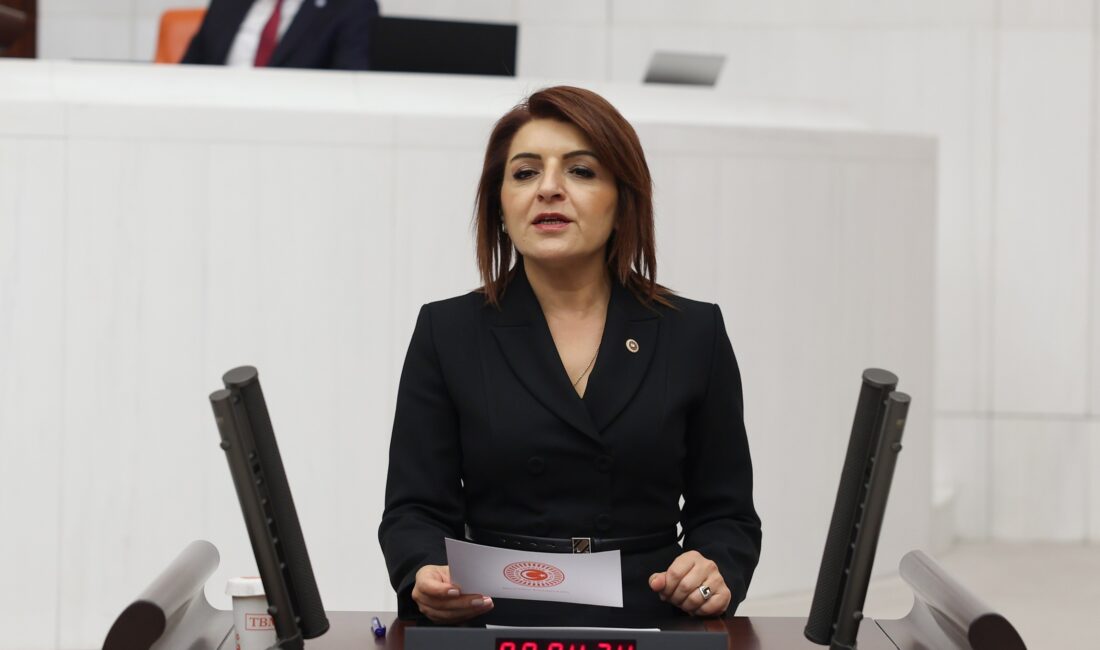 Gülcan Kış: Küresel Belirsizlik Mi? Yerli Beceriksizlik Mi? CHP Mersin