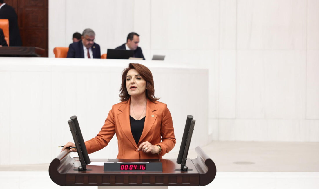 Gülcan Kış: “TÜİK’in Tablosunda Bahar, Halkın Sofrasında Kıyamet!” Gülcan Kış: “TÜİK’in Tablosunda Bahar, Halkın Sofrasında Kıyamet!” CHP Mersin