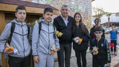 Güzelbahçe belediyesi, mevsiminde toplanması gereken mandalinayı dalında kalıp satılmadığı için