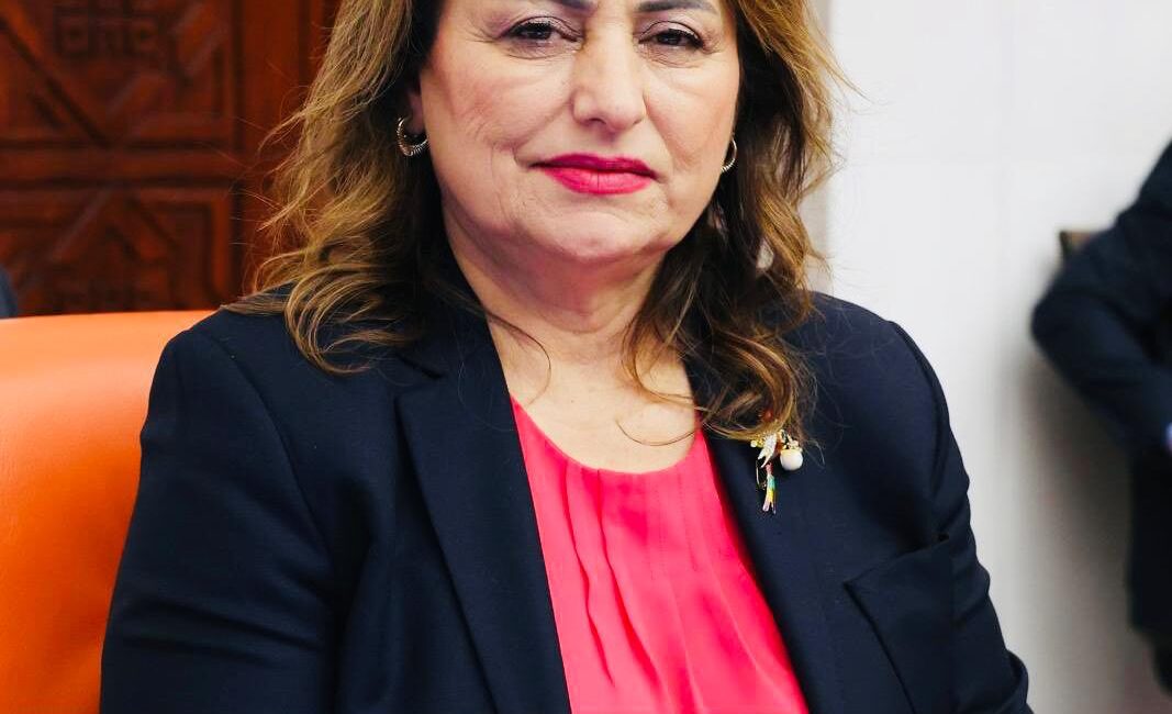 CHP’li Müzeyyen Şevkin’den Suriye’ye İnsani Koridor Çağrısı Cumhuriyet Halk Partisi