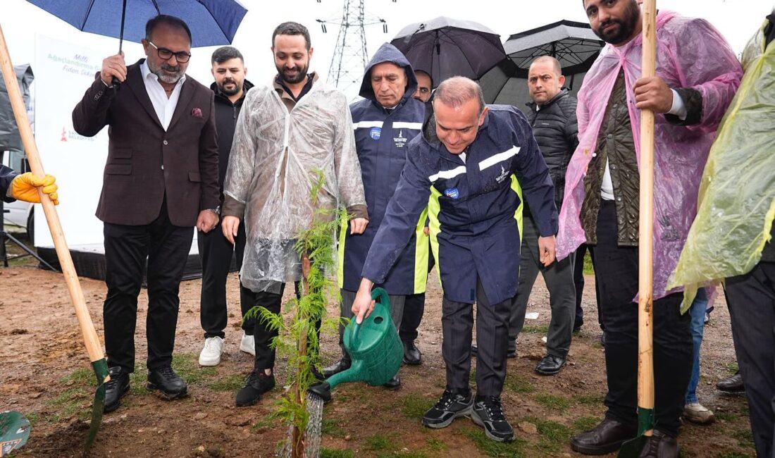 Sancaktepe’de Binlerce Fidan Toprakla Buluştu Sancaktepe’de Binlerce Fidan Toprakla Buluştu 11 Kasım Milli Ağaçlandırma Günü