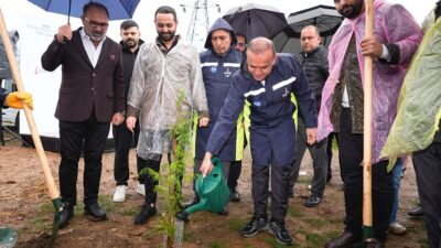 Sancaktepe’de Binlerce Fidan Toprakla Buluştu 11 Kasım Milli Ağaçlandırma Günü