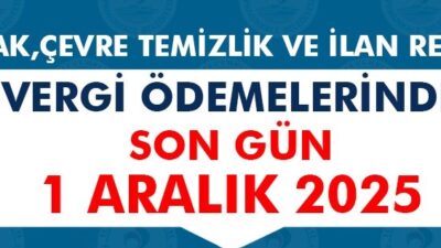 T.C. Pamukkale Belediyesi, Emlak, Çevre Temizlik ve İlan Reklam Vergisi'nin