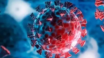 Avrupa genelinde ve özellikle Almanya’da, son yılların en ciddi grip