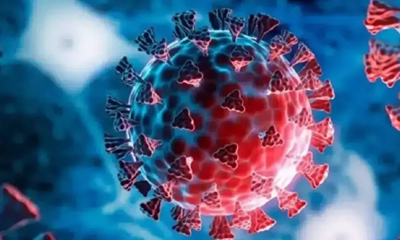 Avrupa genelinde ve özellikle Almanya’da, son yılların en ciddi grip