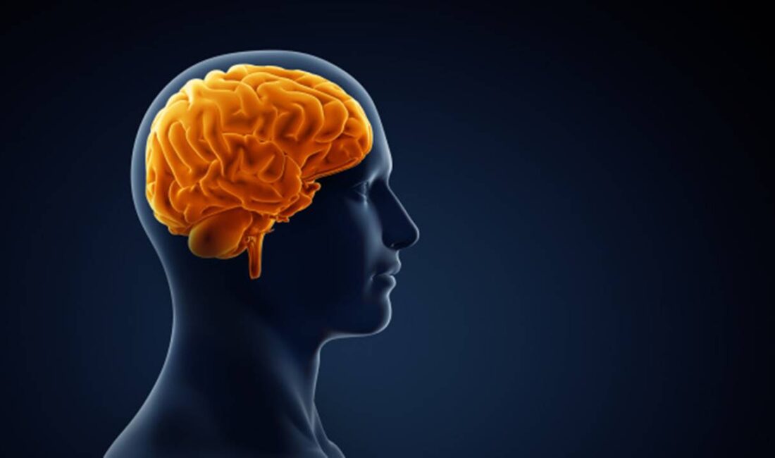 Şiddet, genellikle sadece fiziksel bir eylem olarak algılansa da, aslında