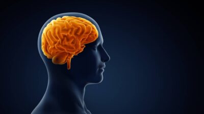 Şiddet, genellikle sadece fiziksel bir eylem olarak algılansa da, aslında