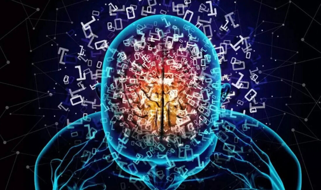 Beynin Gizli Döngüleri: Yaşam Boyu Yenilenmenin Önemi İnsan beyni, yaşamımız boyunca yalnızca bir kez değil, birçok kez