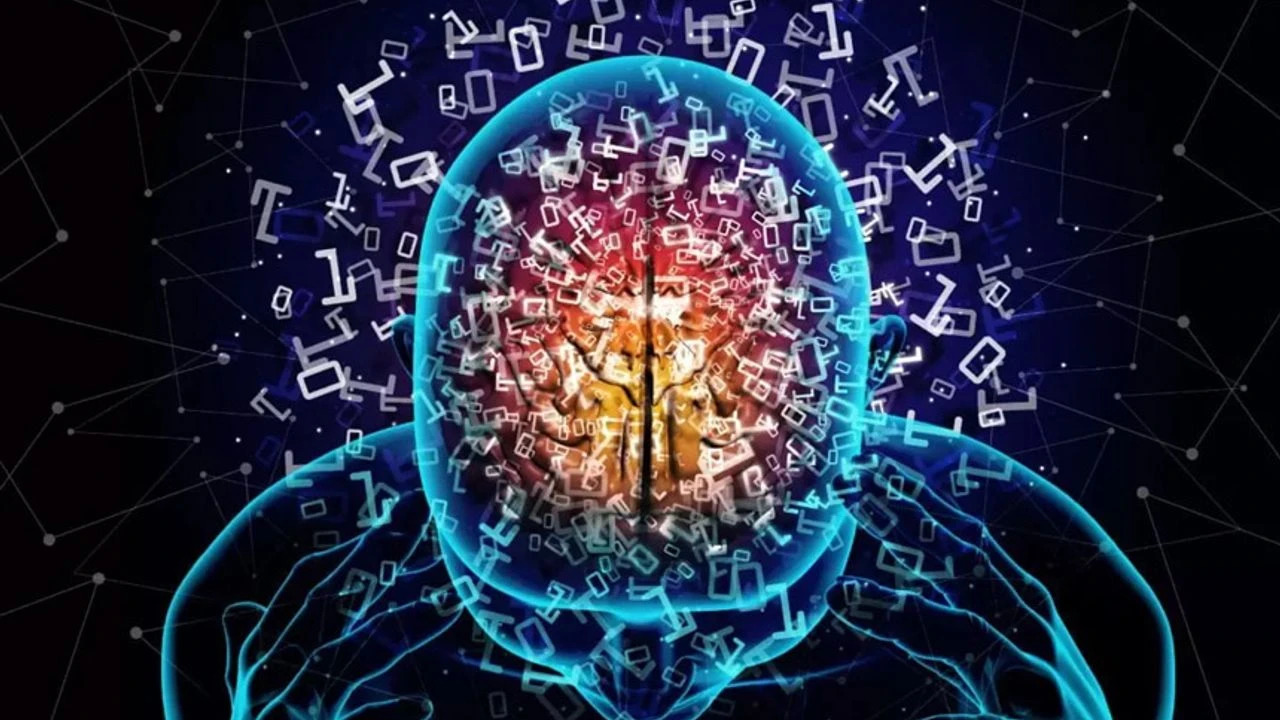 İnsan beyni, yaşamımız boyunca yalnızca bir kez değil, birçok kez