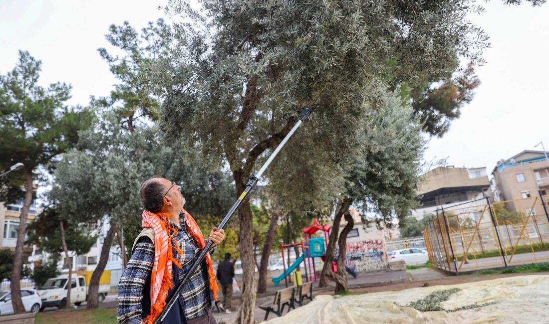 Buca’da dayanışma için hasat zamanı