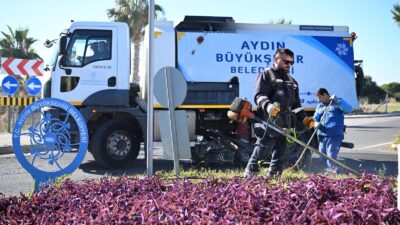 Aydın Büyükşehir Belediyesi, kentin dört bir yanında gerçekleştirdiği çalışmalarına devam