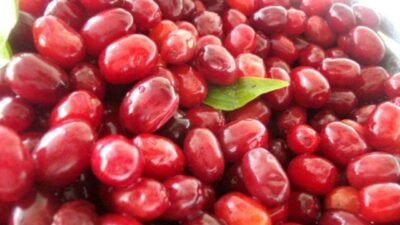 Kış mevsiminin kendini göstermesiyle birlikte grip ve soğuk algınlığı vakalarında