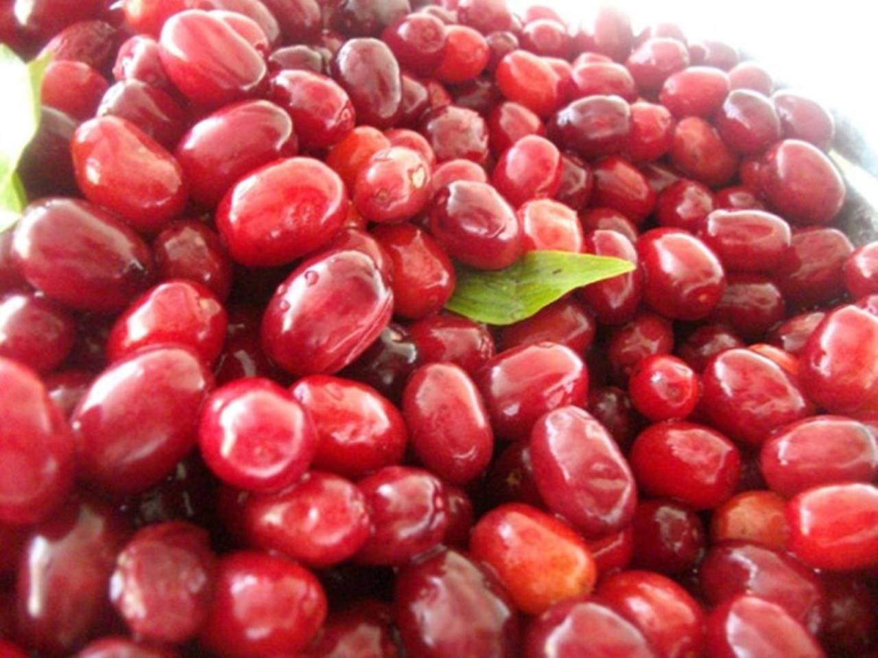 Kış mevsiminin kendini göstermesiyle birlikte grip ve soğuk algınlığı vakalarında