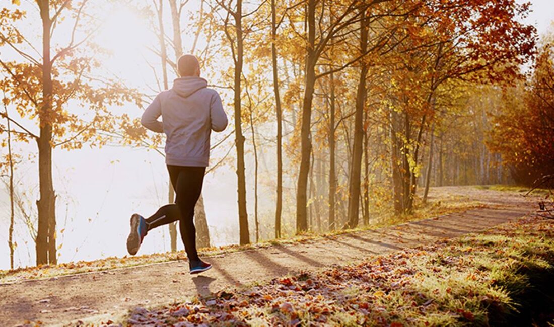 Yaşlanma, insan yaşamının kaçınılmaz bir parçası olarak uzun yıllardır bilim