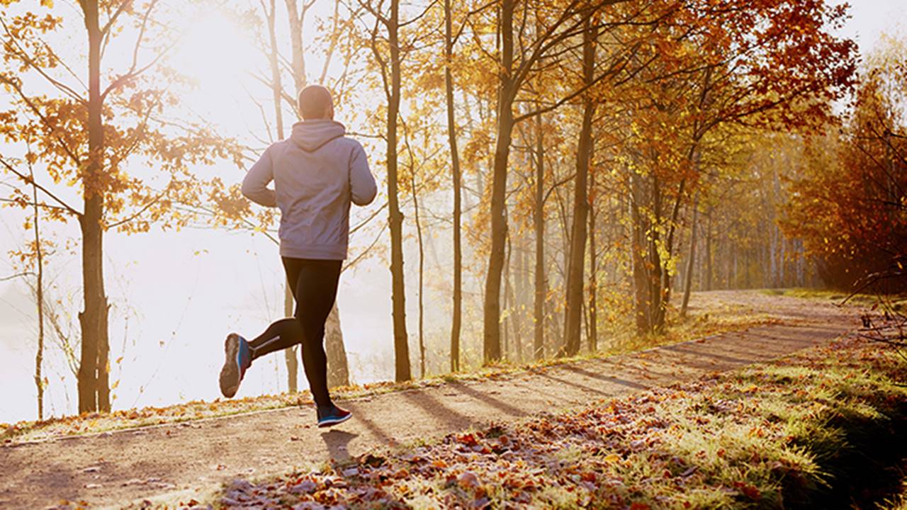 Yaşlanma, insan yaşamının kaçınılmaz bir parçası olarak uzun yıllardır bilim