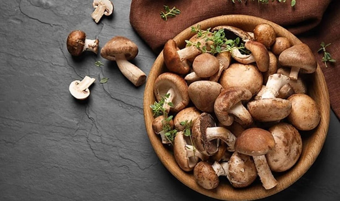 Kalbinizi Koruyun: Her Gün Tüketebileceğiniz Gizli Şampiyon Kalp sağlığı, modern yaşamın en kritik sağlık konularından biri olarak