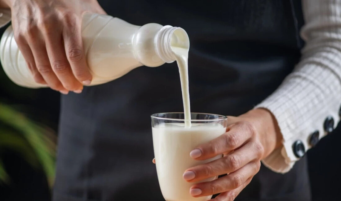 Son yıllarda sağlıklı yaşlanma ve bağışıklık sisteminin korunması üzerine yapılan