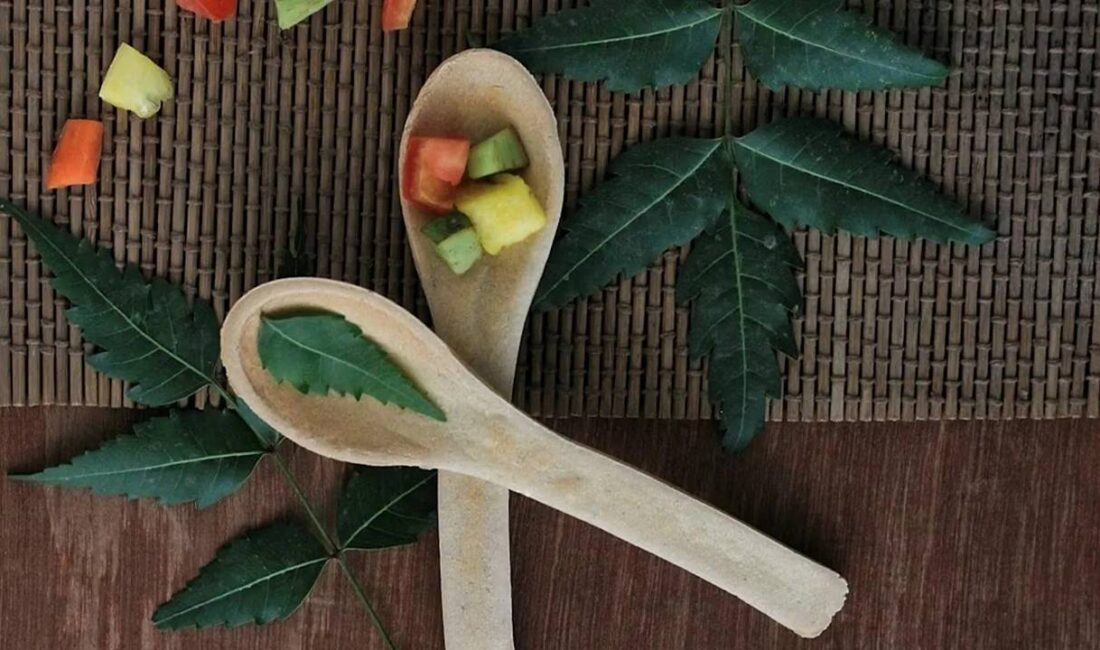 Mutfağımızdaki Tahta Kaşıklar Ne Kadar Güvenli ve Sağlıklı? Mutfaklarda yüzyıllardır kullanılan tahta kaşıklar, modern mutfak gereçlerinin ortaya çıkmasına