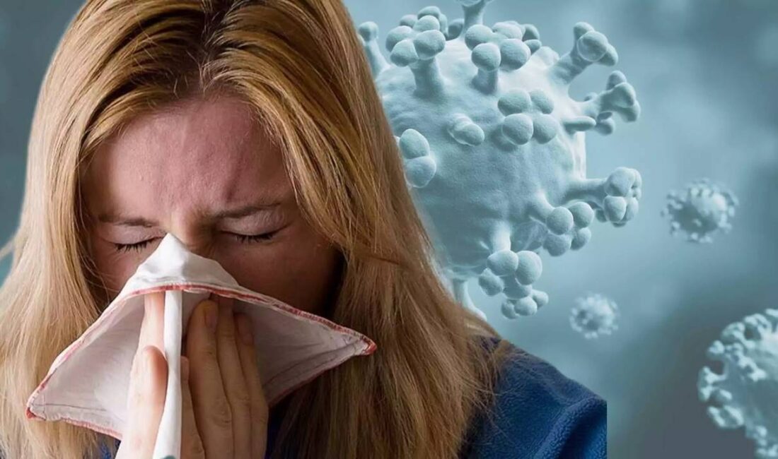 Dünya genelinde özellikle Kasım ile Nisan ayları arasında yayılımı artan