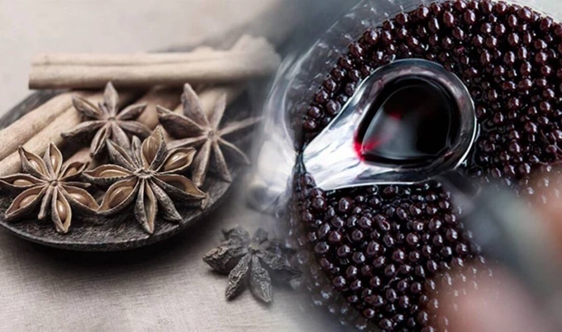 Soğuk Havada Hastalıklara Dur Deyin: Tarçın ve Anason Etkisi Kış ayları geldiğinde, havaların soğuması ve insanların kapalı alanlarda daha