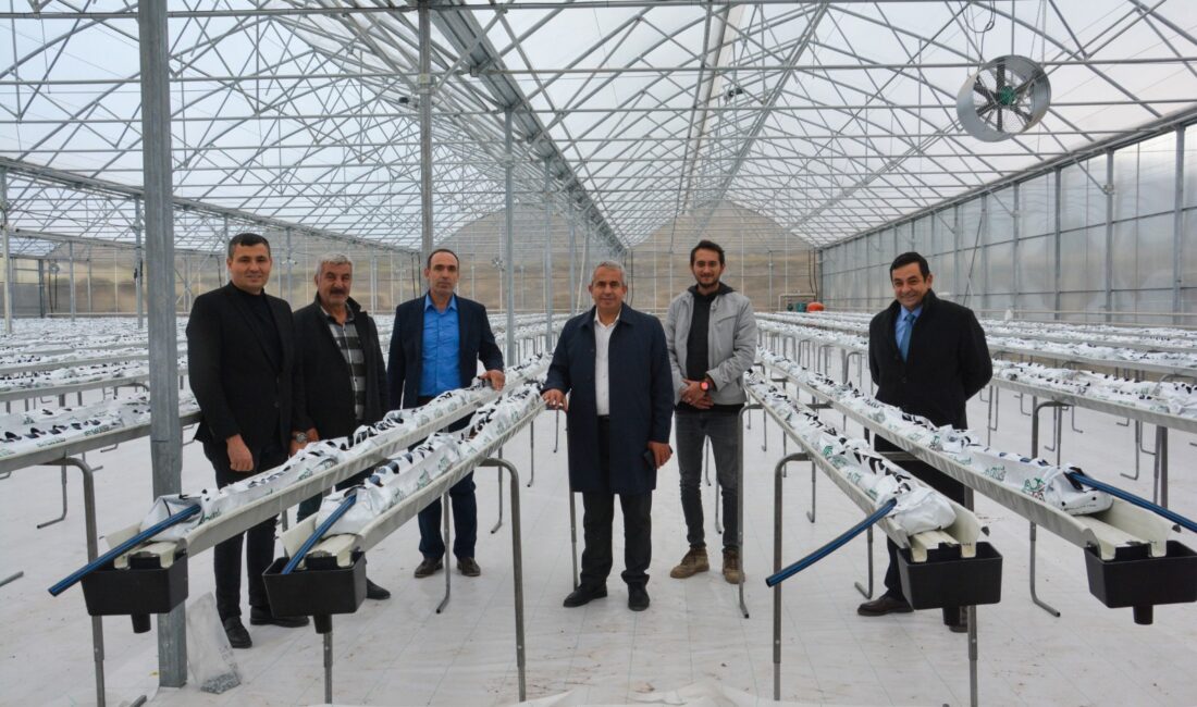 TERMAL SERA İLE VERİMLİ ÜRETİM BAŞLIYOR Kahramankazan’da modern tarımın geleceğine ışık tutan önemli bir proje daha