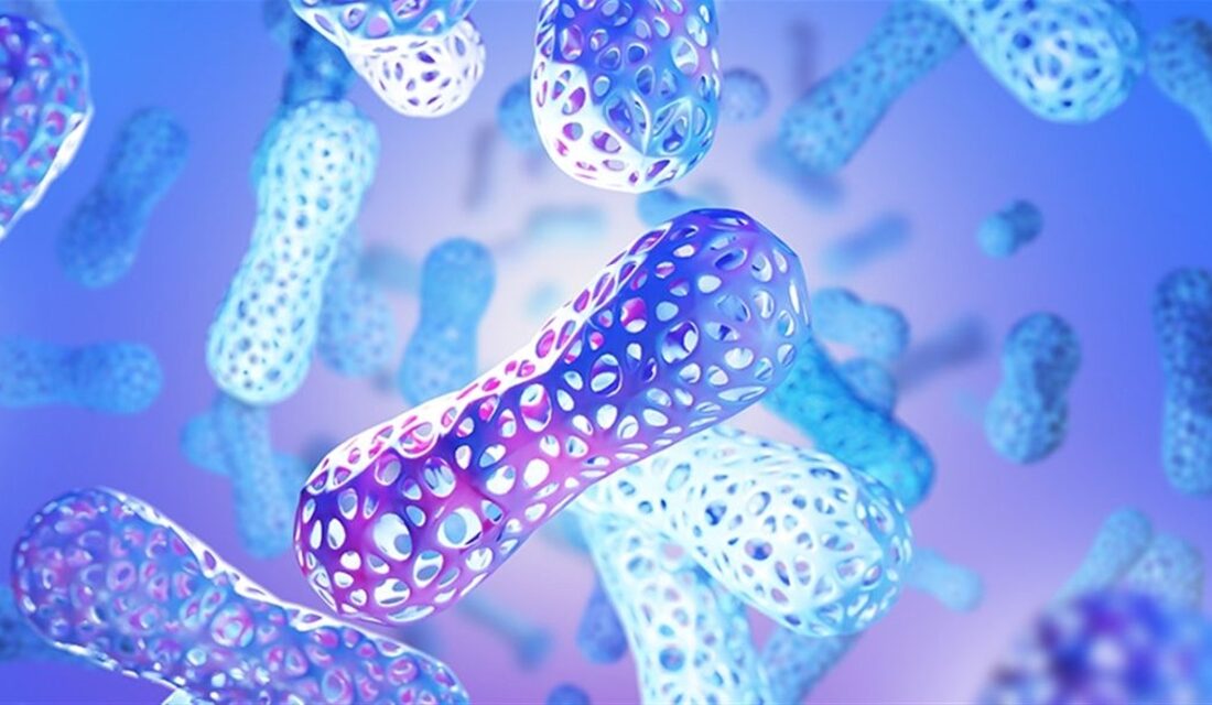 İnsan bedeni yüzyıllar boyunca kalp, beyin, karaciğer gibi hayati organlar