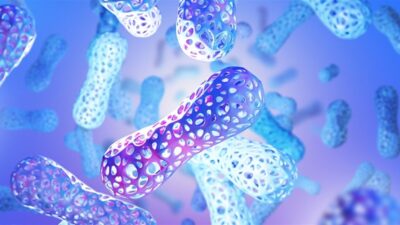 İnsan bedeni yüzyıllar boyunca kalp, beyin, karaciğer gibi hayati organlar