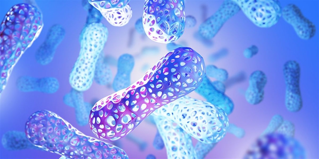 İnsan bedeni yüzyıllar boyunca kalp, beyin, karaciğer gibi hayati organlar