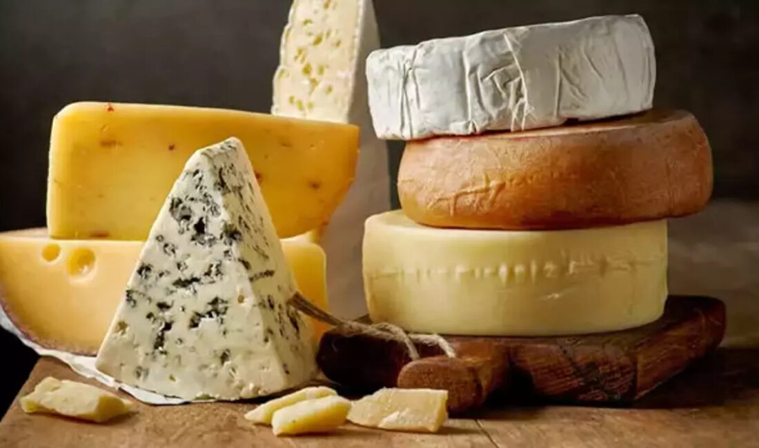 Son yıllarda sağlıklı yaşlanma ve beyin fonksiyonlarının korunması üzerine yapılan