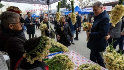 Karaburun’la özdeşleşen ve eşsiz kokusuyla her yıl heyecanla beklenen nergis