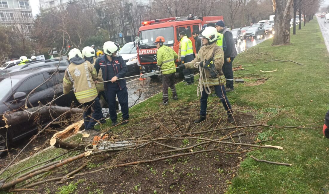 İstanbul genelinde Orta Akdeniz üzerinden