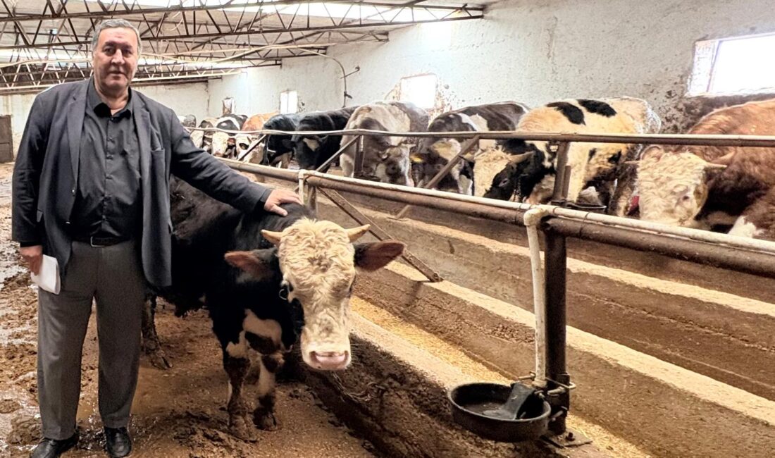 Gürer: “Şap ile et, süt, buzağı ve hayvan kayıpları yaşandı”