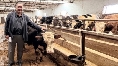 Gürer: “Şap ile et, süt, buzağı ve hayvan kayıpları yaşandı”