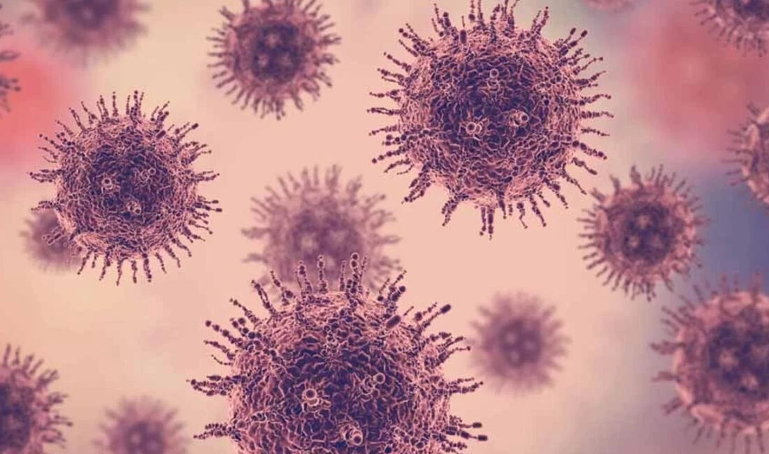 Madagaskar, halk sağlığı açısından son derece önemli ve ülke tarihinde